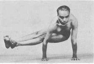 Dwi-Pada-Koundinyasana-Yoga-Pose-BKS-Iyengar